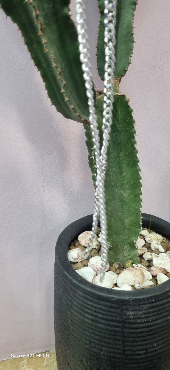 بند عینک زنجیر  کارتیر نقره ای