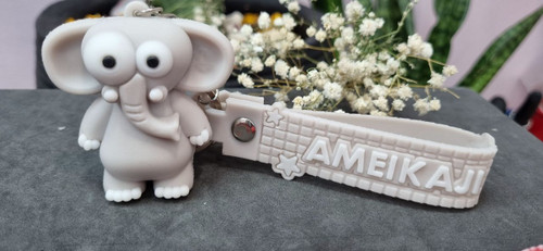 جا سویچی سیلیکونی