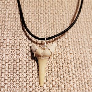 GemShark واقعی گردنبند دندان کوسه سفید ماکو